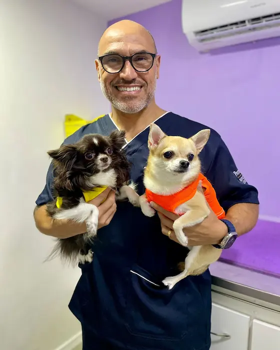 Atendimento Veterinário 24h na Zona Sul do Rio de Janeiro