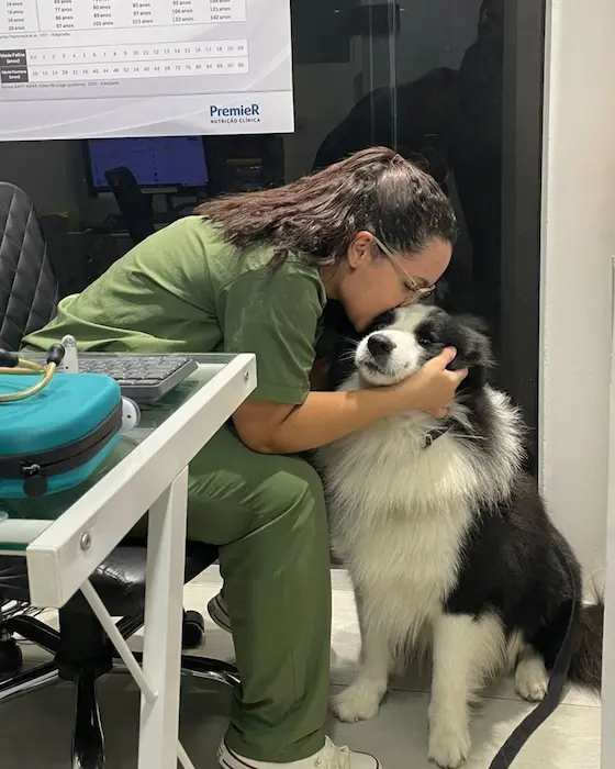 Atendimento Veterinário 24h na Zona Sul do Rio de Janeiro